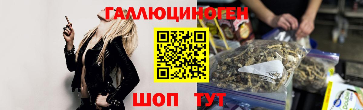 Кострома  Псилоцибиновые грибы Cubensis  Вход с VPN 